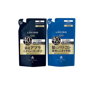 �y���������I�i�n�����j�zLUCIDO(���V�[�h) ��p�X�J���v�f�I�V�����v�[ ������ 380mL (&�R���f�B�V���i�[ 380g �l�ߑւ��Z�b�g)