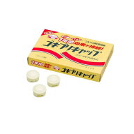 【送料無料！（地域限定）】タニサケ ゴキブリキャップ 10g× 15個入
