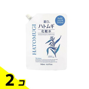 yIinjz픒 ngM ϐ lߑւp 500mL 2Zbg