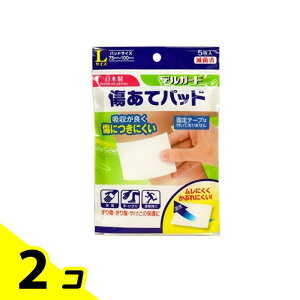 yIinjzfK[h ăpbh LTCY 5 (75×100mm) 2Zbg