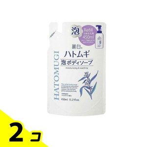 yIinjz픒 ngM A{fB\[v lߑւp 450mL 2Zbg