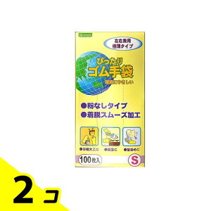 yIinjzIJg No.310 ҂S Ȃ^Cv 100 (STCY) 2Zbg