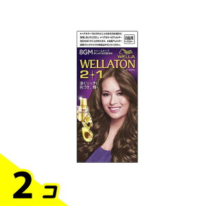 yIinjzEGg[ 2+1(c[vX) N[^Cv 8GM 薾邢}bguE 1 2Zbg