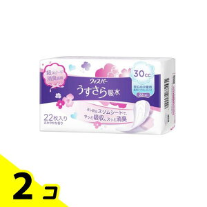 yIinjzEBXp[z APApbh 30cc 22cm ₩ȍ 22 2Zbg