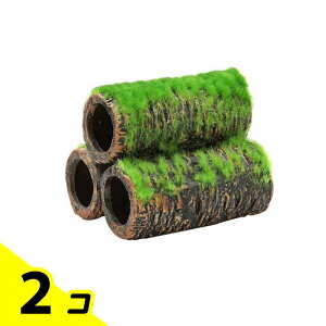 yIinjzGEX Șa̒ y 1 (MTCY) 2Zbg