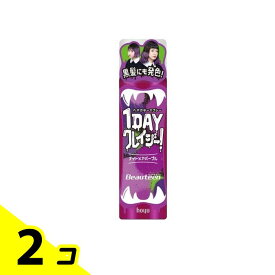 【送料無料！（地域限定）】ビューティーン 1DAYクレイジー! ナイトメアパープル 35g 2個セット