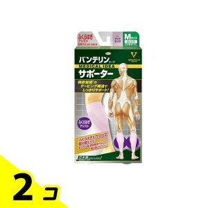 yIinjzoeR[T|[^[ ӂ͂AVXg ӂMTCY 2 (CgsN) 2Zbg