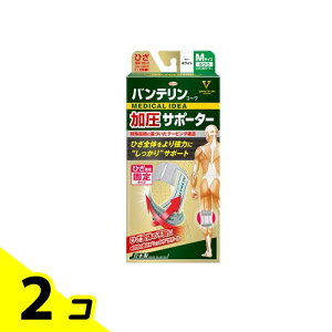 yIinjzoeR[T|[^[ Ђp ӂMTCY 1 (zCg) 2Zbg