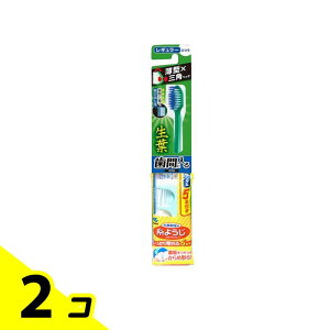 yIinjzt(傤悤) ԂɓuV M[wbh ӂ 1{ 2Zbg