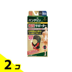 yIinjzoeR[T|[^[ Ђp 傫LTCY 1 (ubN) 2Zbg