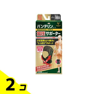 yIinjzoeR[T|[^[ Ђp 傫LLTCY 1 (ubN) 2Zbg