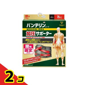 yIinjzoeR[T|[^[p 3LTCY 1 2Zbg