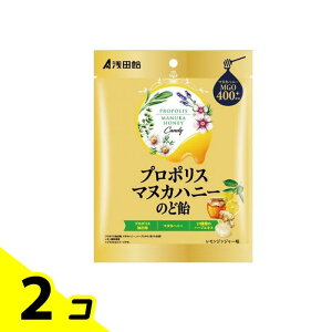 yIinjzc v|X}kJnj[̂ǈ 60g 2Zbg