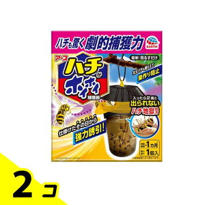 yIinjzn`zCzC ݂邵^ Ipߊl 1 2Zbg