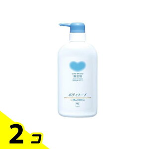 yIinjzJEuh Y{fB\[v t̃^Cv 500mL (|vt{) 2Zbg