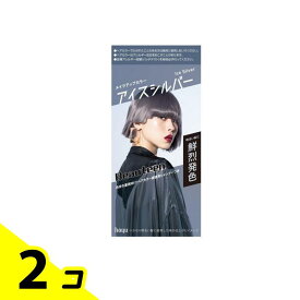 【送料無料！（地域限定）】ビューティーン メイクアップカラー アイスシルバー 1組入 2個セット