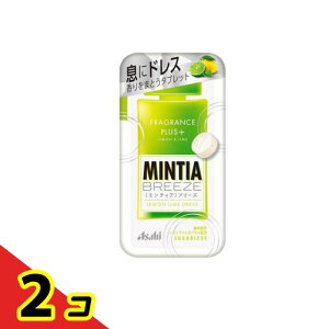 yIinjzMINTIA ~eBA u[Y ChX 30 (22g) 2Zbg