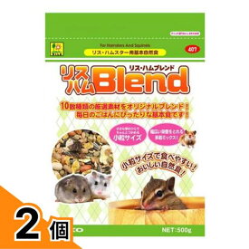 【送料無料！（地域限定）】三晃商会 リス・ハムブレンド 500g 2個セット