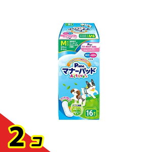 yIinjzP.one j̎q&̎qp}i[pbhActive p MTCY 16 2Zbg