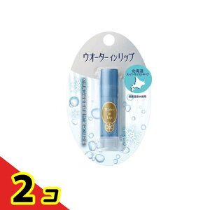 �y���������I�i�n�����j�z�E�I�[�^�[�C�����b�v �X�[�p�[���C�X�g�L�[�vf 3.5g 2�Z�b�g