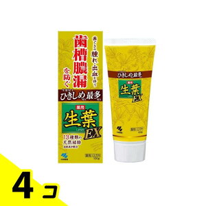 yIinjzt(傤悤)EX 100g 4Zbg