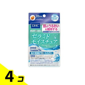 yIinjzDHČNHi Z~h CX`A 20 (20) 4Zbg