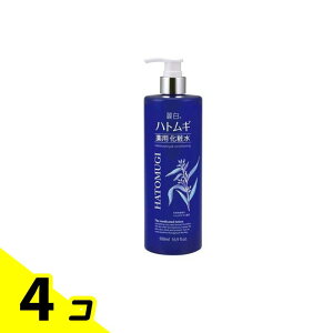 yIinjz픒 ngMpϐ 500mL 4Zbg