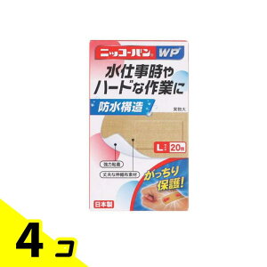 yIinjzjbR[oWP LTCY 20 (No.508) 4Zbg