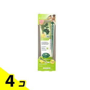 �y���������I�i�n�����j�zDENTISTE(�f���e�B�X) �`���[�u�^�C�v �������O���X�̍��� 100g 4�Z�b�g