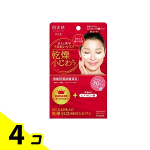 yIinjzONE NPA ڂƏW邨}XN 60 4Zbg