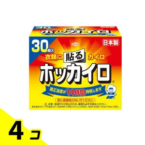 【送料無料!(地域限定)】ホッカイロ 貼るタイプ レギュラー 30個入 4個セット