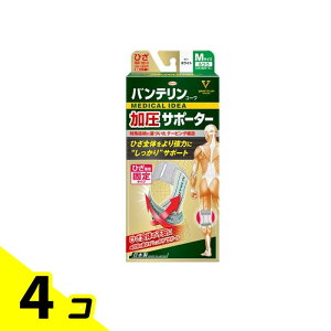 yIinjzoeR[T|[^[ Ђp ӂMTCY 1 (zCg) 4Zbg