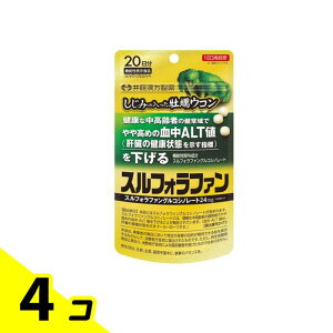 yIinjz䓡 ݂̓yER XtHt@ 60 (20) 4Zbg