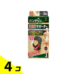 yIinjzoeR[T|[^[ Ђp 傫LLTCY 1 (ubN) 4Zbg