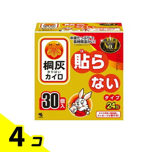 yIinjzˊDJC \Ȃ^Cv M[ 24Ԏ 30 4Zbg