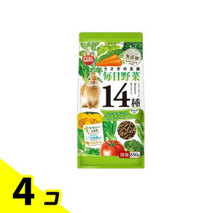 yIinjz~j}h ̎H 14탁eiX 850g 4Zbg