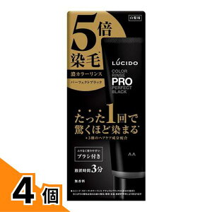 �y���������I�i�n�����j�zLUCIDO ���V�[�h �J���[�����XPRO�v�� �p�[�t�F�N�g�u���b�N 120g 4�Z�b�g