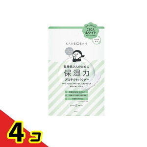 yIinjzKANSOSAN  ێ̓veNgpE_[ uCgVJ 10g 4Zbg