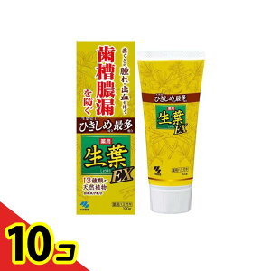 yIinjzt(傤悤)EX 100g 10Zbg