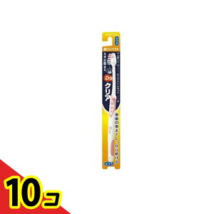 yIinjzDoNA(hD[NA) nuV RpNgwbh 1{ ( ӂ) 10Zbg