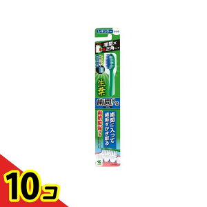 yIinjzt(傤悤) ԂɓuV M[wbh ӂ 1{ 10Zbg