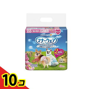 yIinjz}i[EFA ̎qp SSSTCY ^p sN{E{ 42 10Zbg