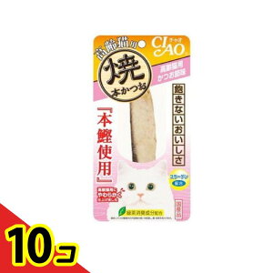 yIinjzȂ CIAO(`I) Ė{ Lp ߖ 1{ 10Zbg