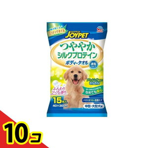 yIinjzJOYPET(WCybg) {fB[^I ₩VNveC p 15 (E^p) 10Zbg
