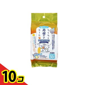 yIinjzX[p[Lbg Lp 炭炭PAV[gv~A 30 10Zbg