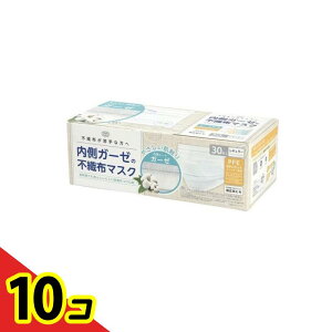 yIinjzxm K[[̕sDz}XN M[TCY 30 10Zbg