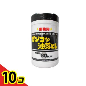 yIinjzR[[ KRȖƂV[g Ɩp 80 ({g) 10Zbg