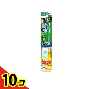 yIinjzt(傤悤) ԂɓuV M[wbh ӂ 1{ 10Zbg