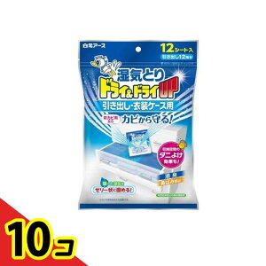 yIinjzhC&hCUP oEߑP[Xp 12V[g 10Zbg