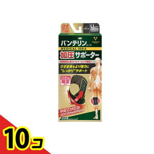 yIinjzoeR[T|[^[ Ђp 傫LLTCY 1 (ubN) 10Zbg